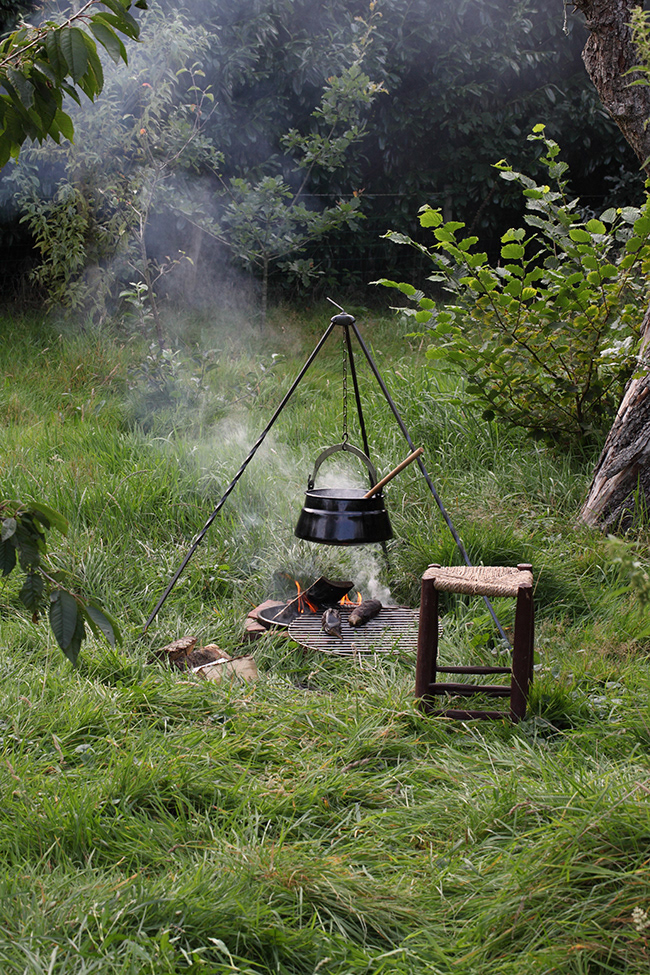 Just Food 19 | A Taste of Freedom