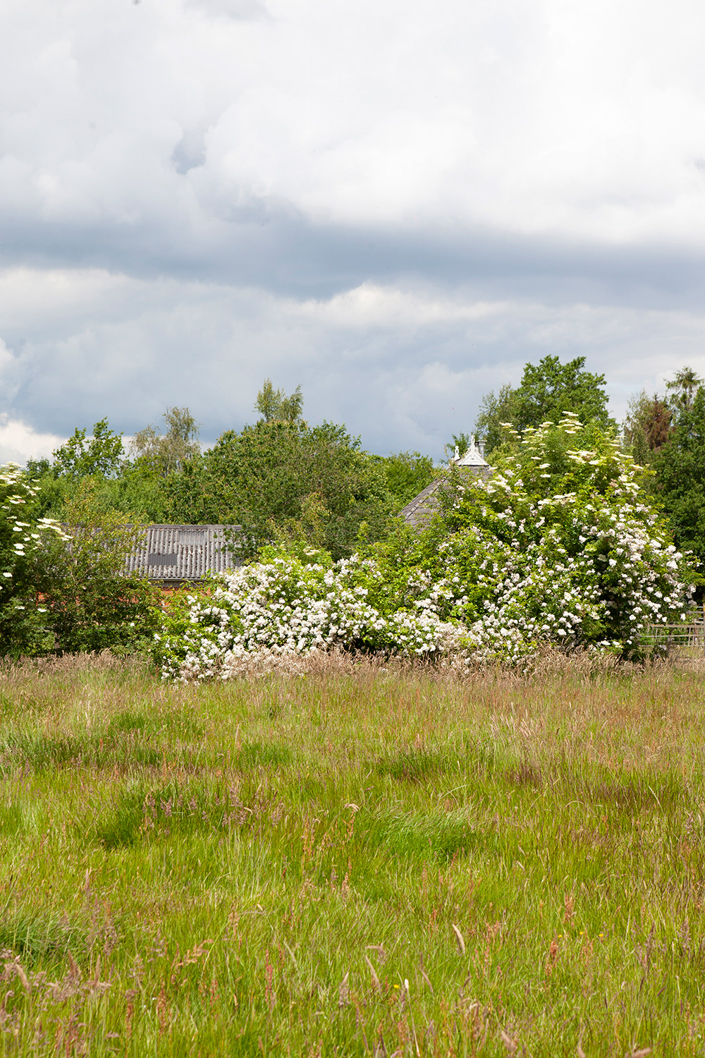 The Farm