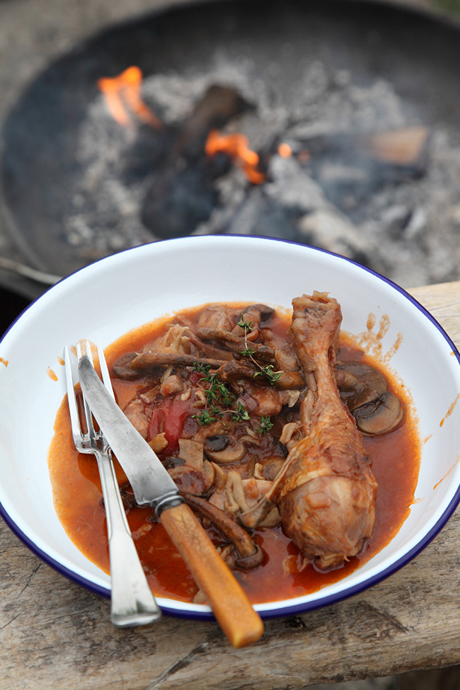 Just Food 40 | Chicken, wine & mushroom stew