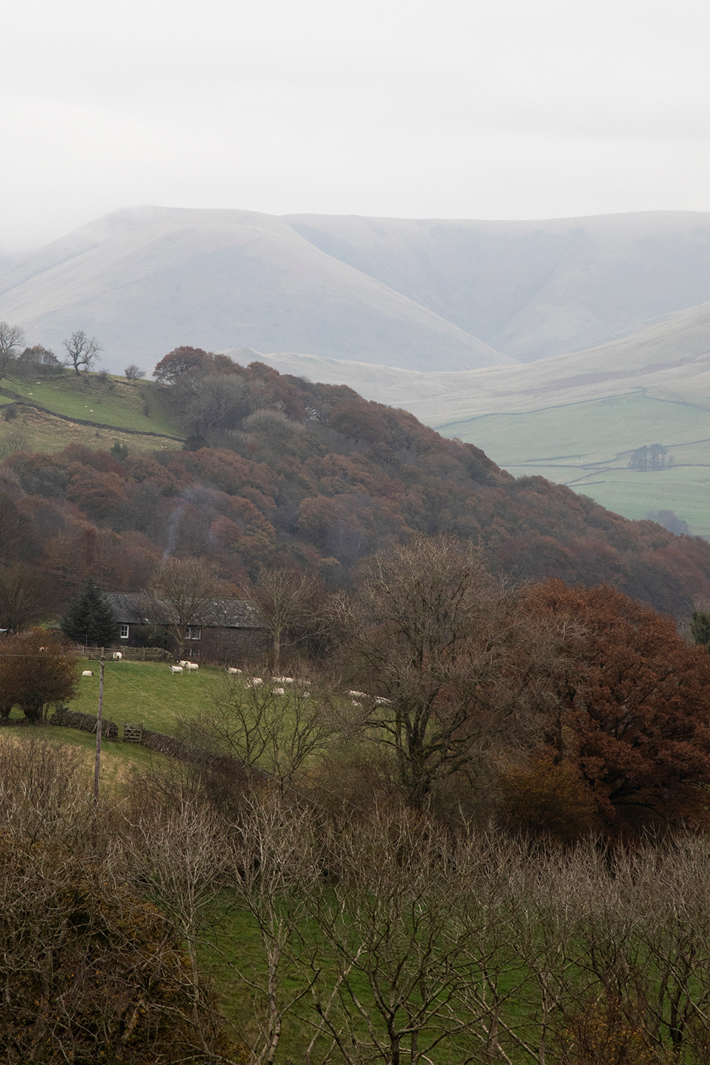Shacklabank Farm