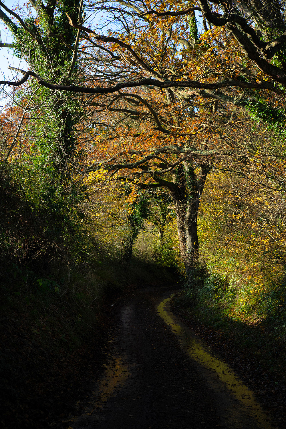 Tye Hill Road
