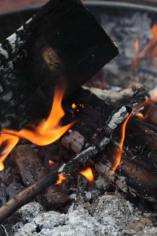 Tallskog 11 | Brasa