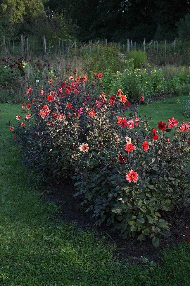 More Gardening 18
