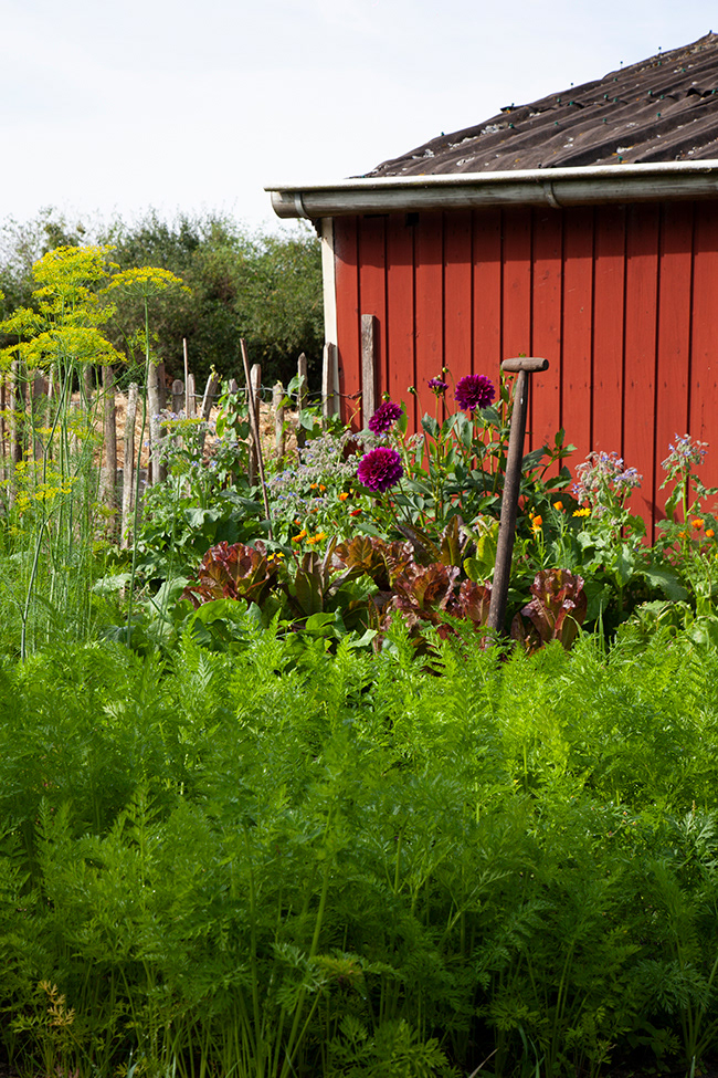 More Gardening 25