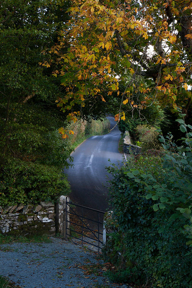 Lakeland 04 | Road to Sawrey, Lake District, UK