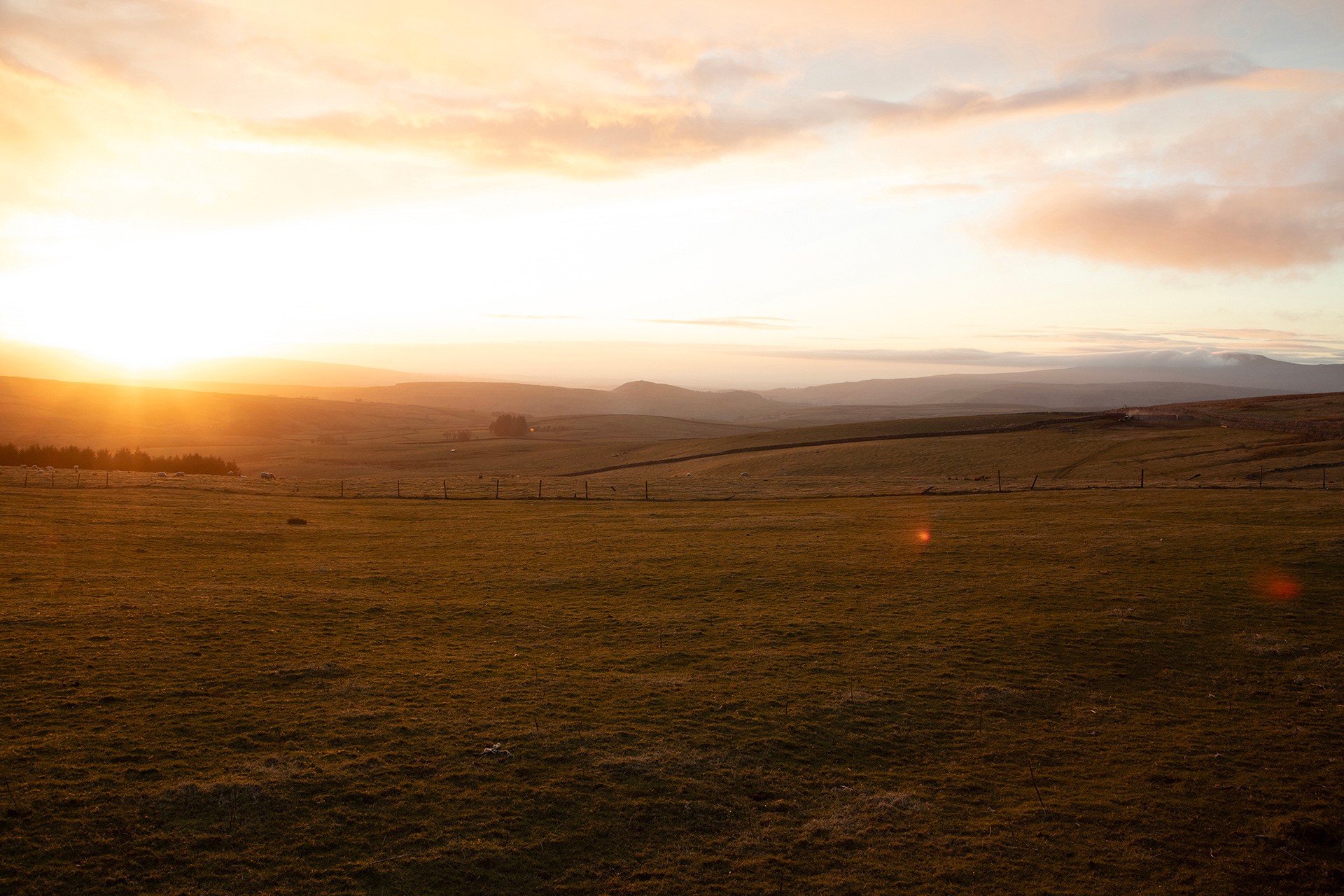 God's Own Country