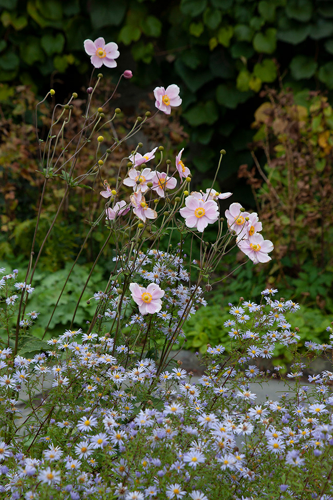 More Gardening 23
