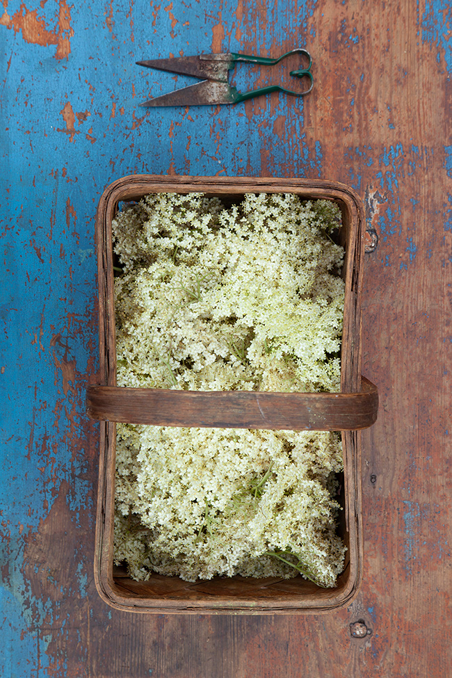 Just Food 70 | Elderflower