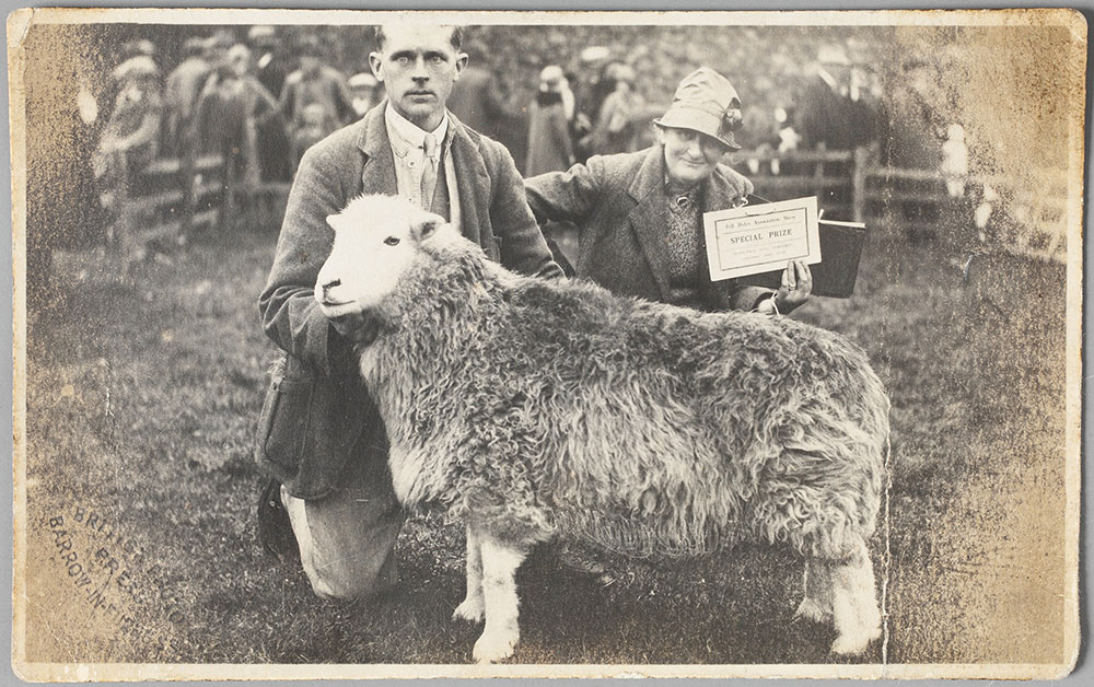 Beatrix Potter met een van haar prijswinnende Herdwick schapen