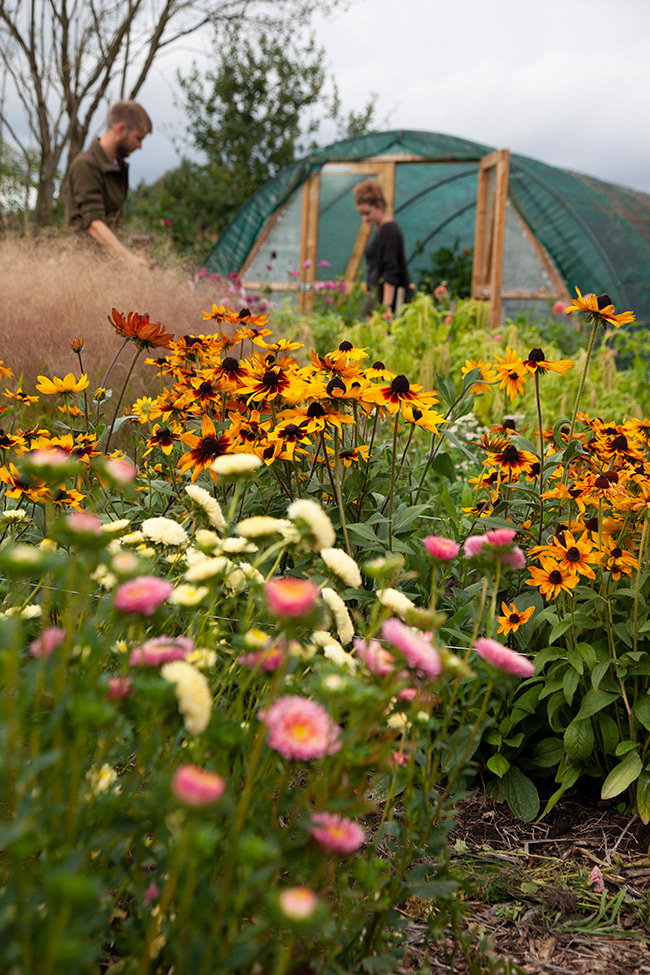 More Gardening 04 | Bijenbrood Organic Flowers
