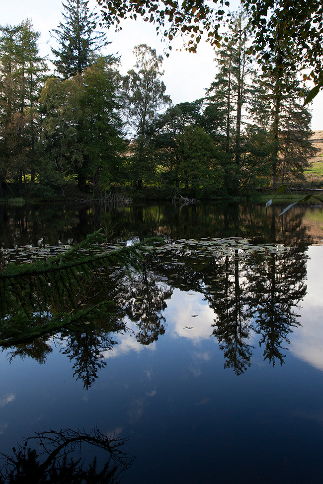 Lakeland 21 | Lake District, Uk