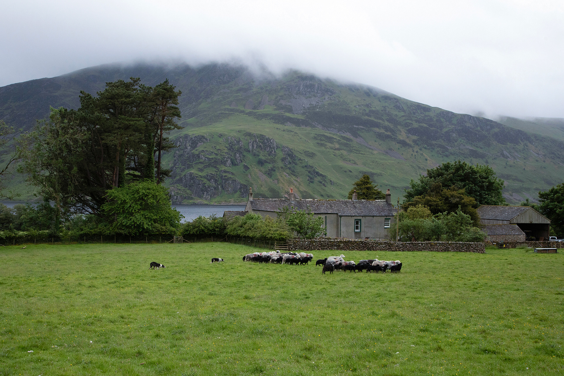 Mireside Farm