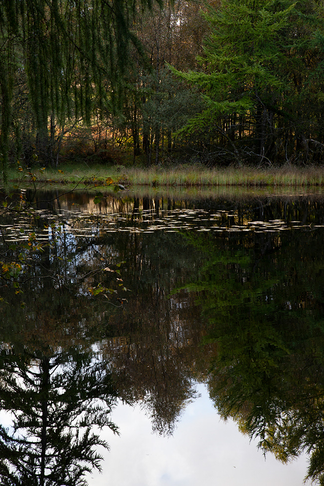 Lakeland 07 | Estwaite Water, Lake District, UK
