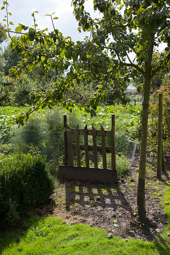 Gone Gardening 04