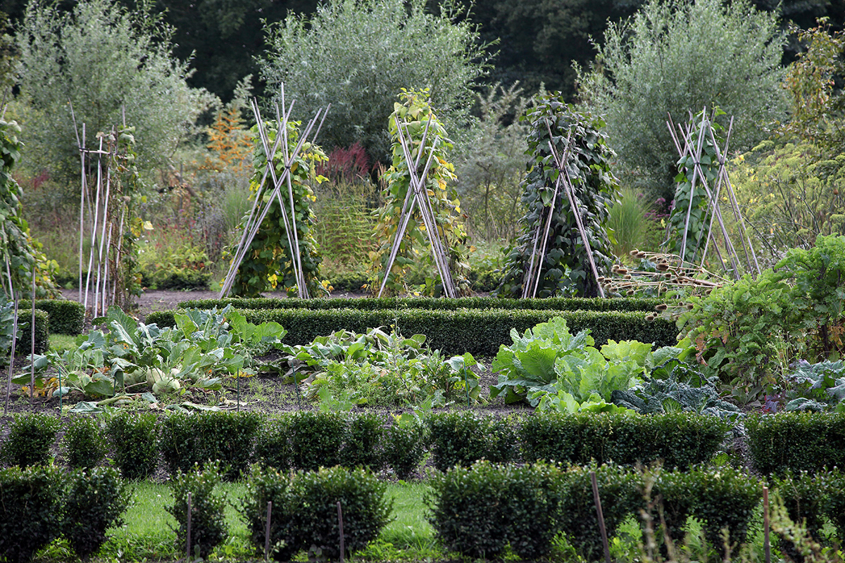 Gone Gardening 01