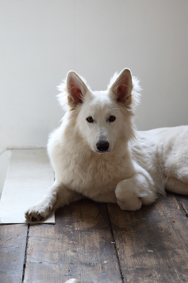 Interior 08 | A Village Loft