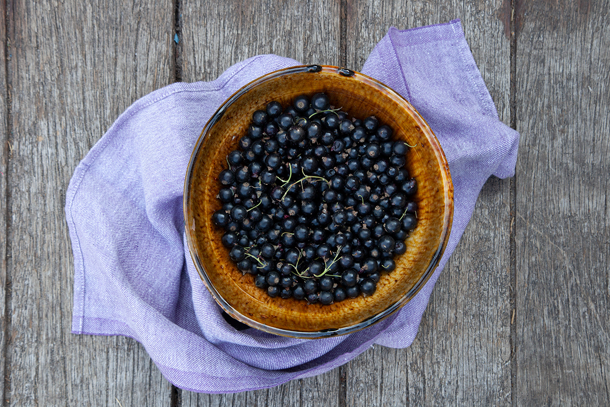 Just Food 12 | Black Currants