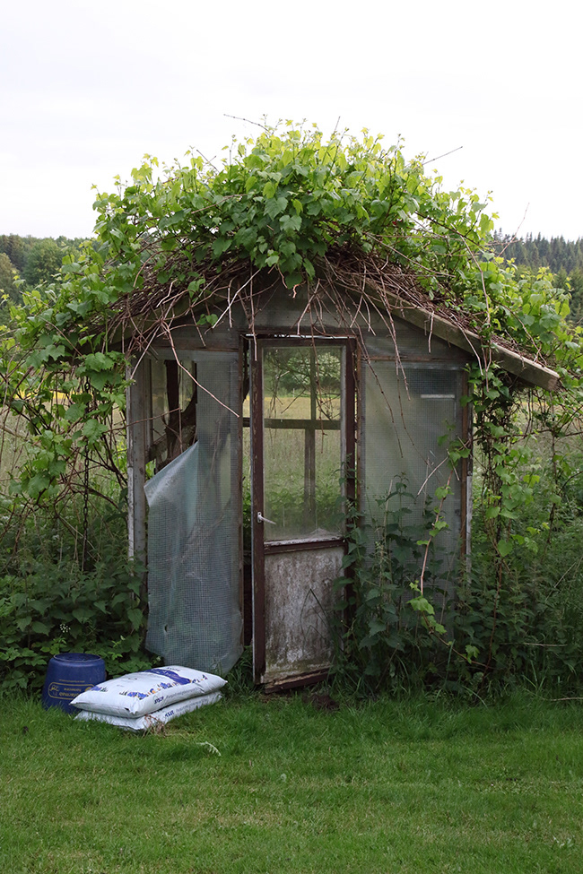 Lonneberga 09 | Greenhouse