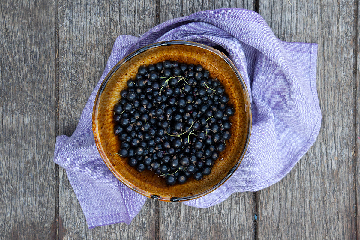 Lonneberga 13 | Black Currant