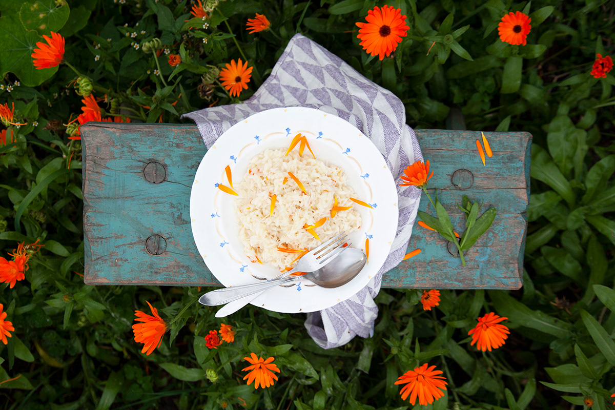 Just Food 31 | Marigold Risotto