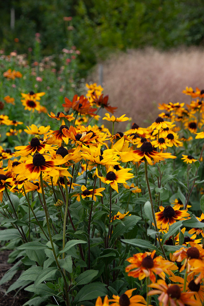 Gone Gardening 20