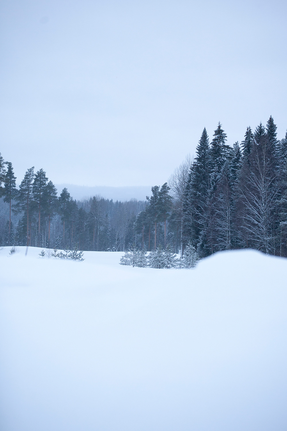 Backfors