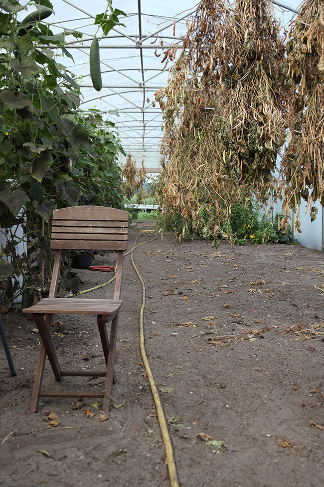 More Gardening 28