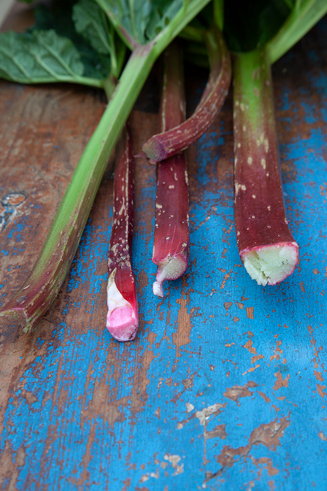 Just Food 51 | Rhubarb