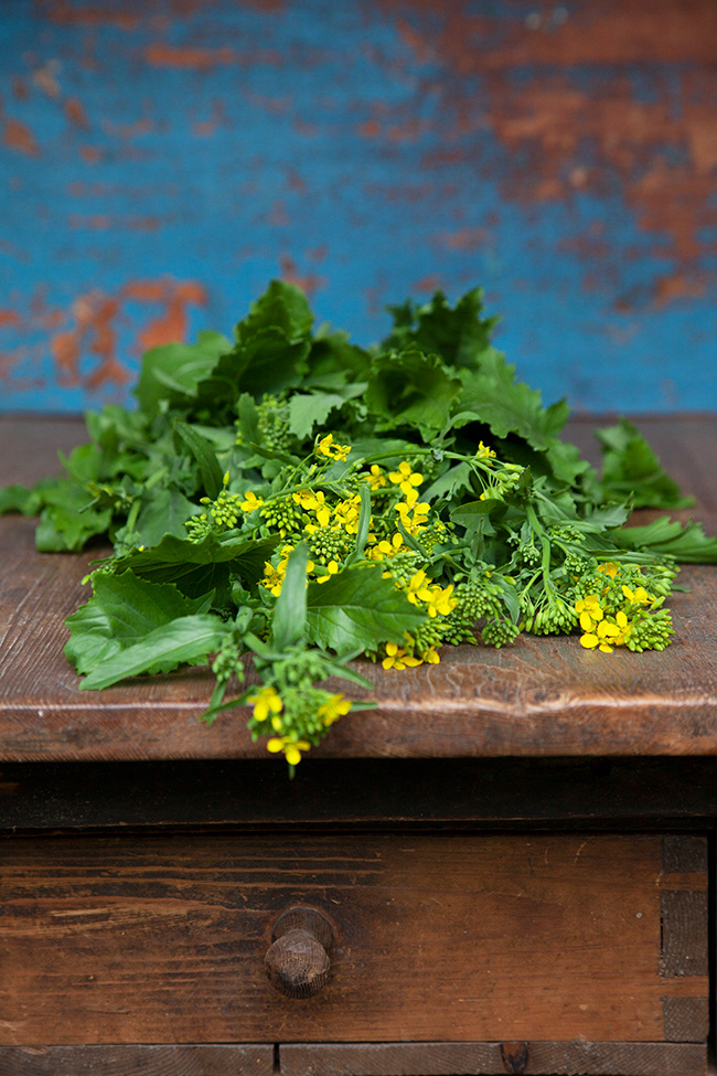 Just Food 16 | Cime di Rape, from the garden