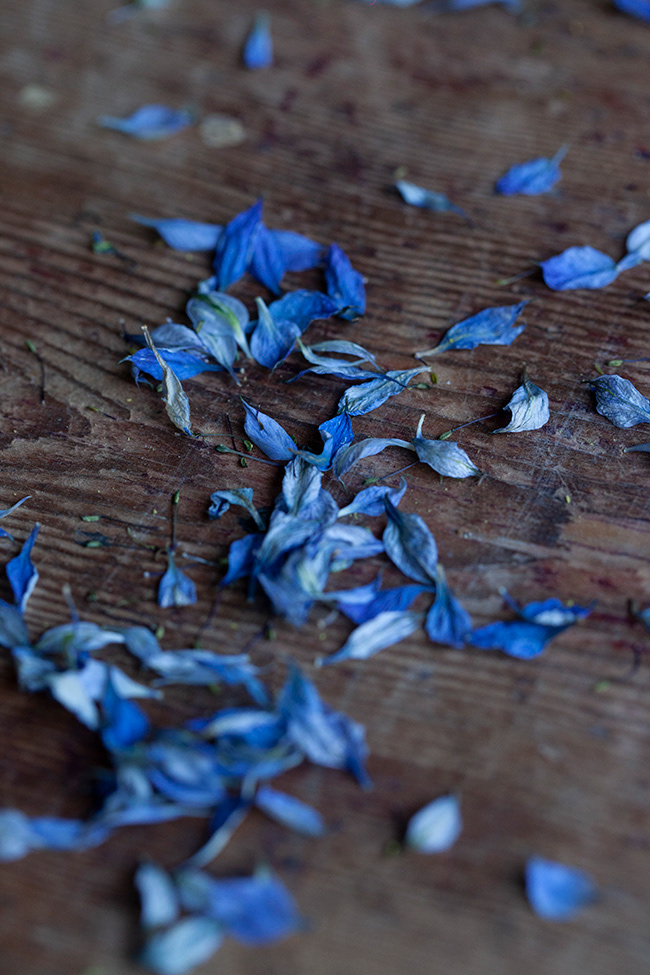 Just Food 61 | Edible Flower Petals