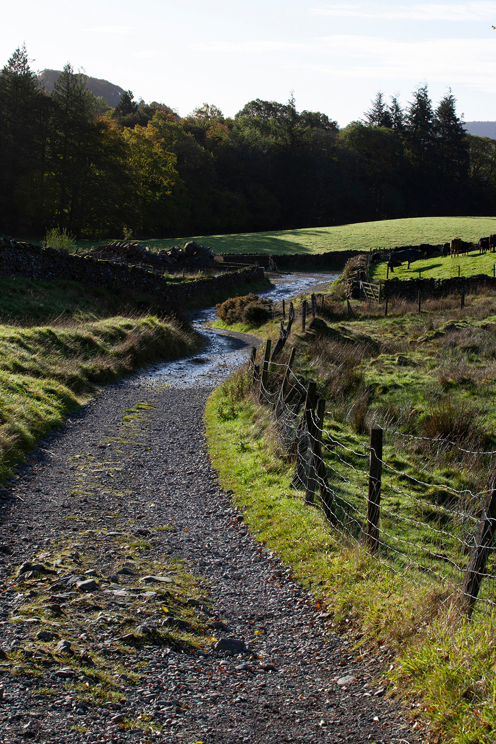 Sawrey