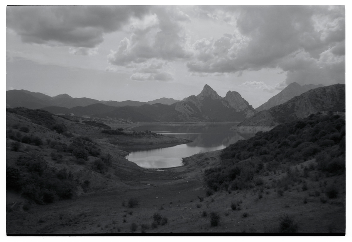 Tallskog 21 | Picos