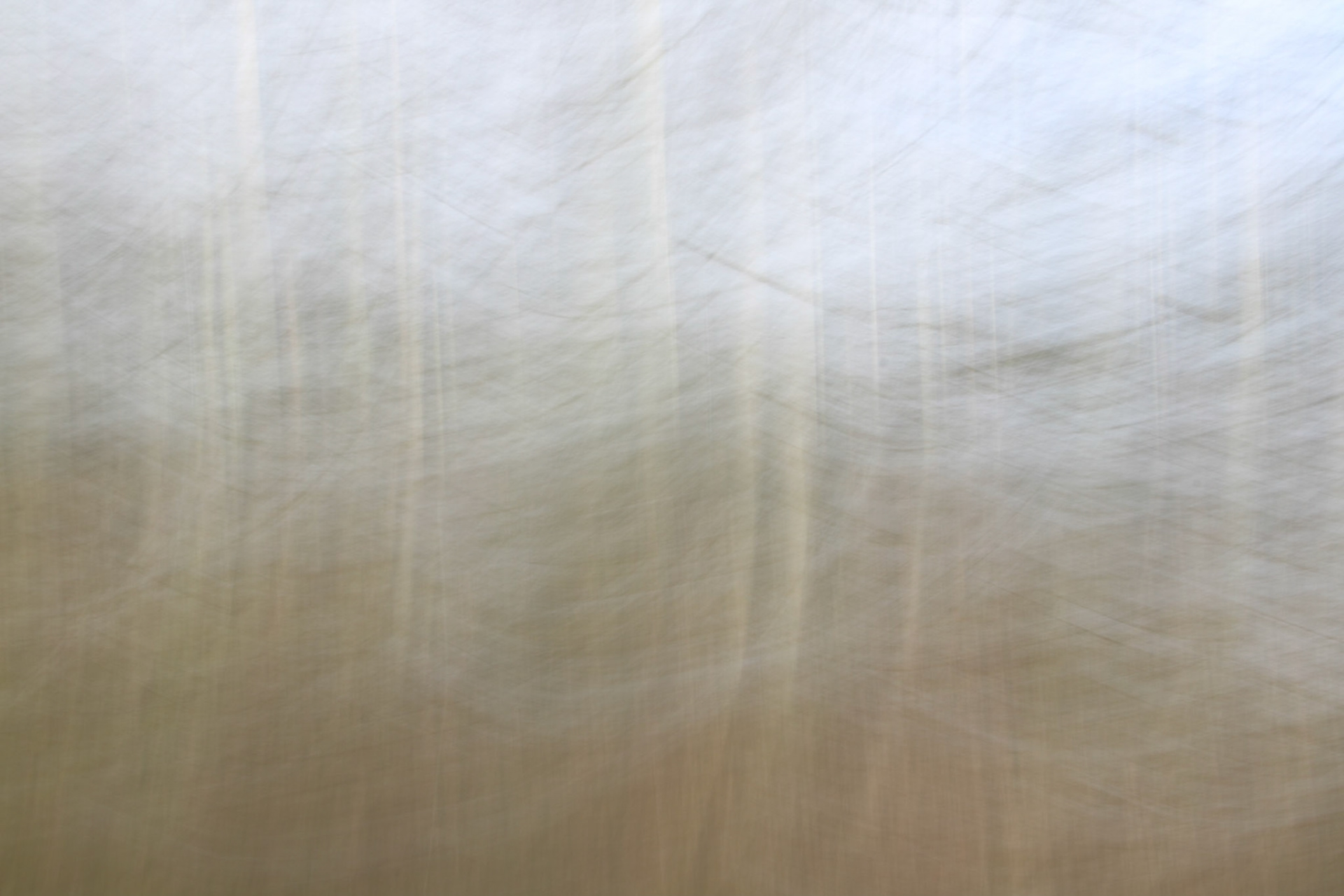 Whispers in the Woods