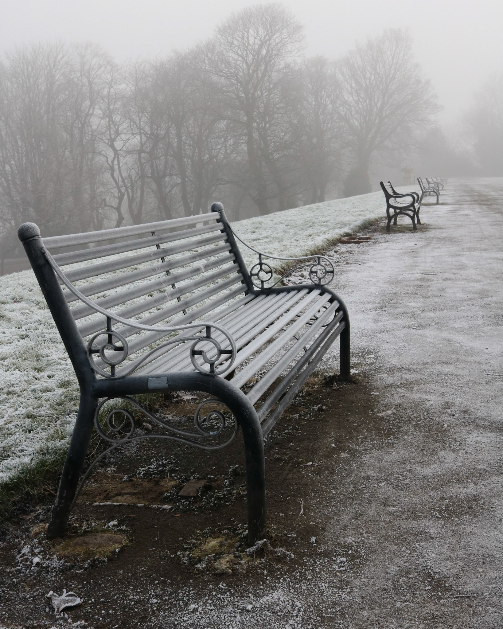 Cold and foggy morning, Queen's Park, Glasgow