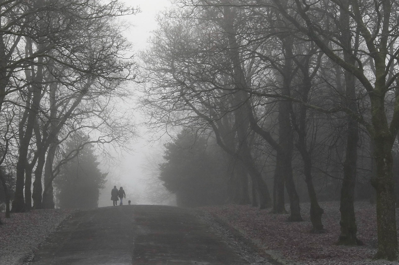 Cold and foggy morning, Queen's Park, Glasgow