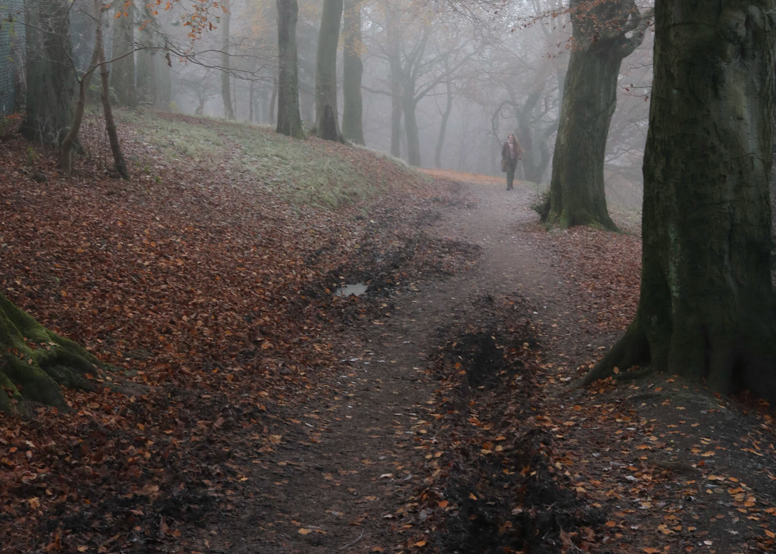 Cold and foggy morning, Queen's Park, Glasgow