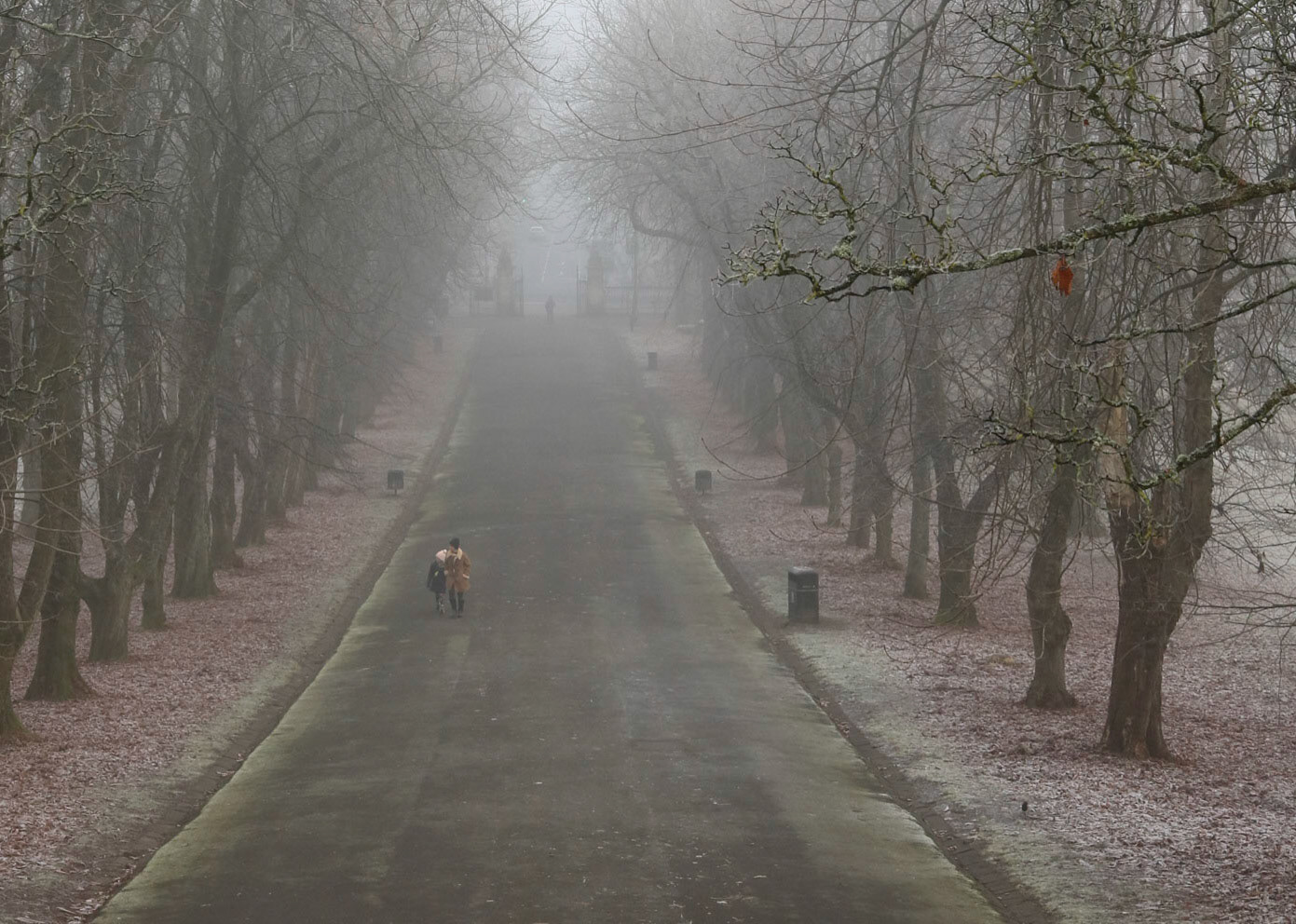Cold and foggy morning, Queen's Park, Glasgow