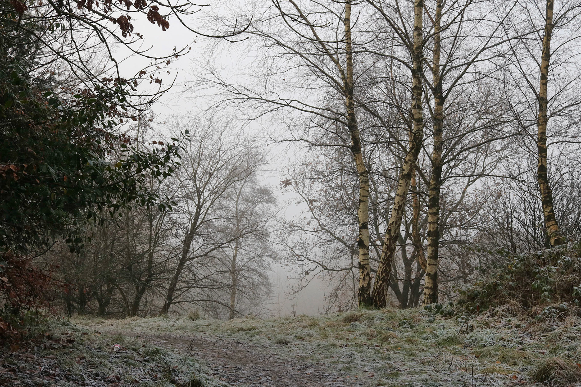 Cold and foggy morning, Queen's Park, Glasgow