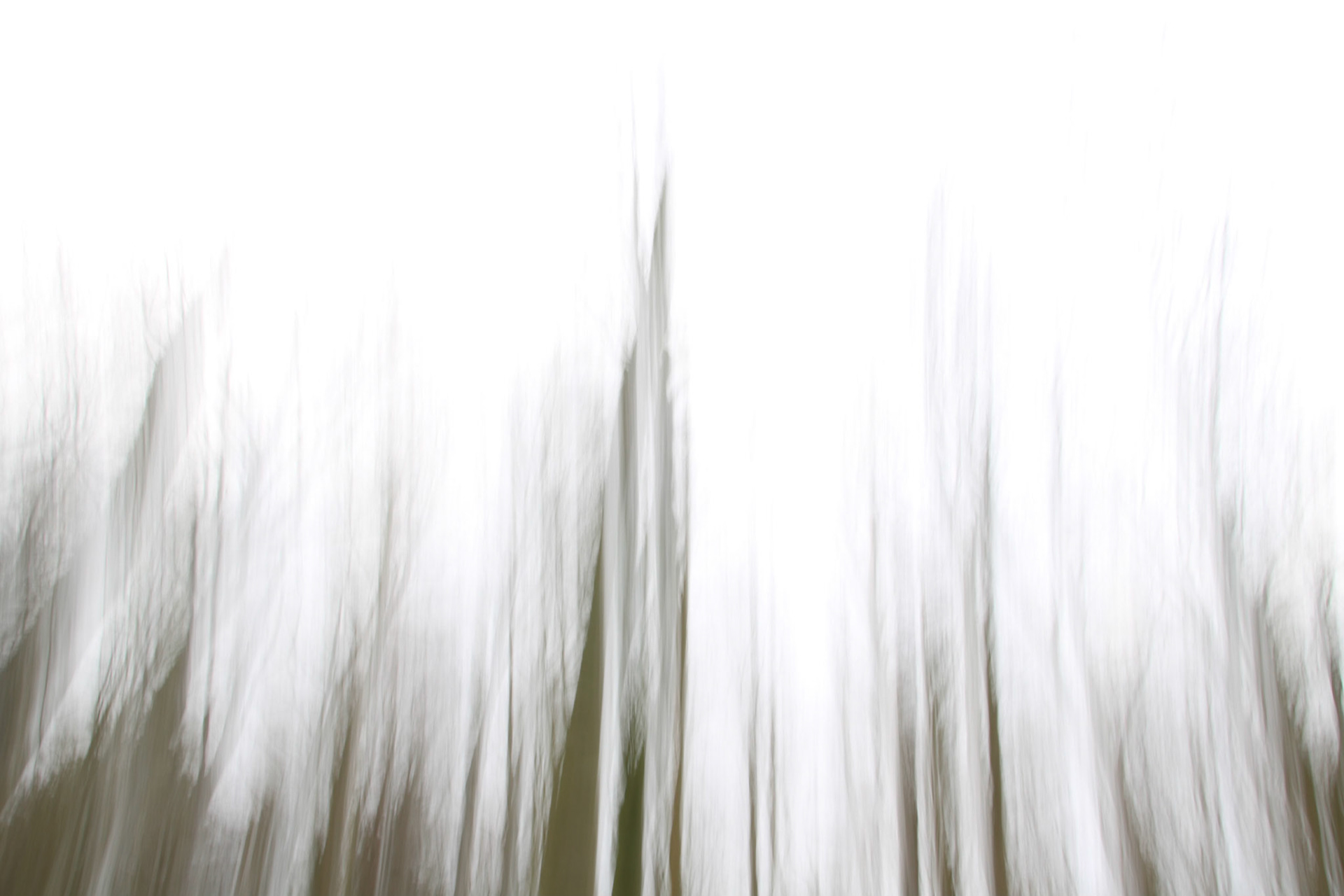 Rising from the forest