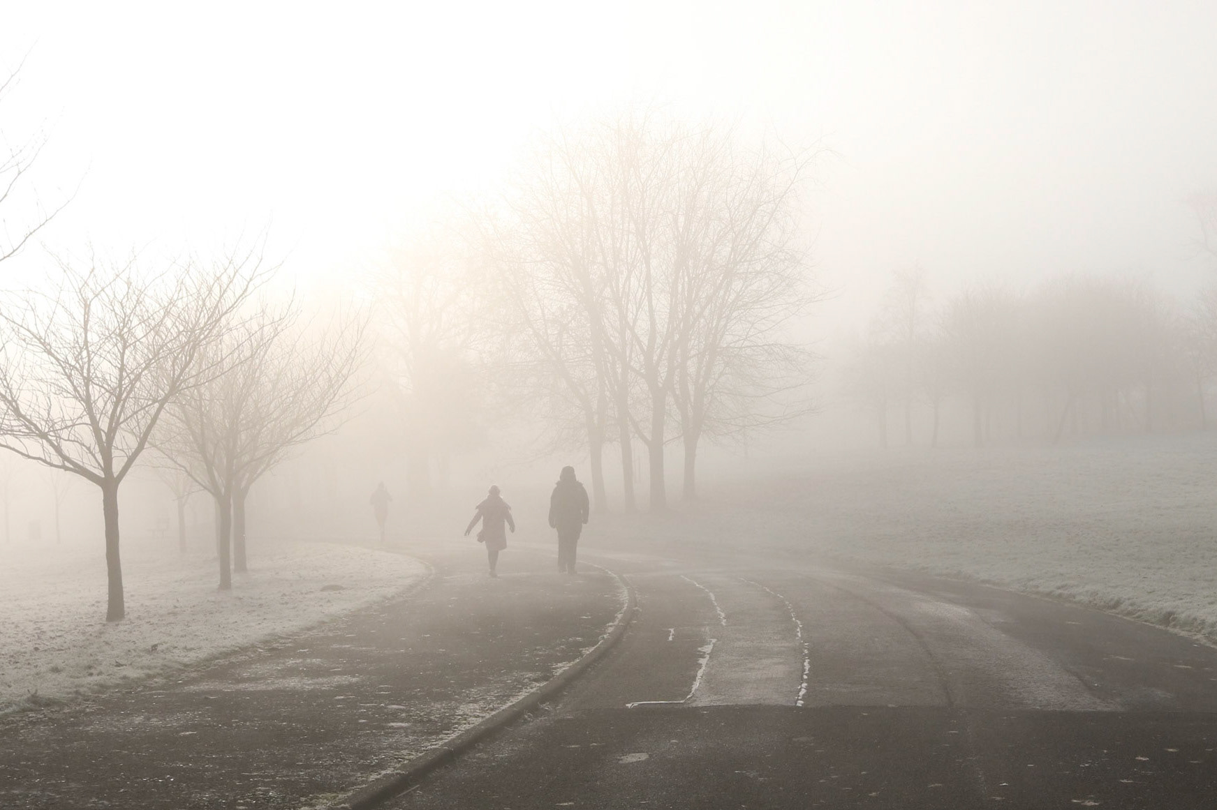 Cold and foggy morning, Queen's Park, Glasgow