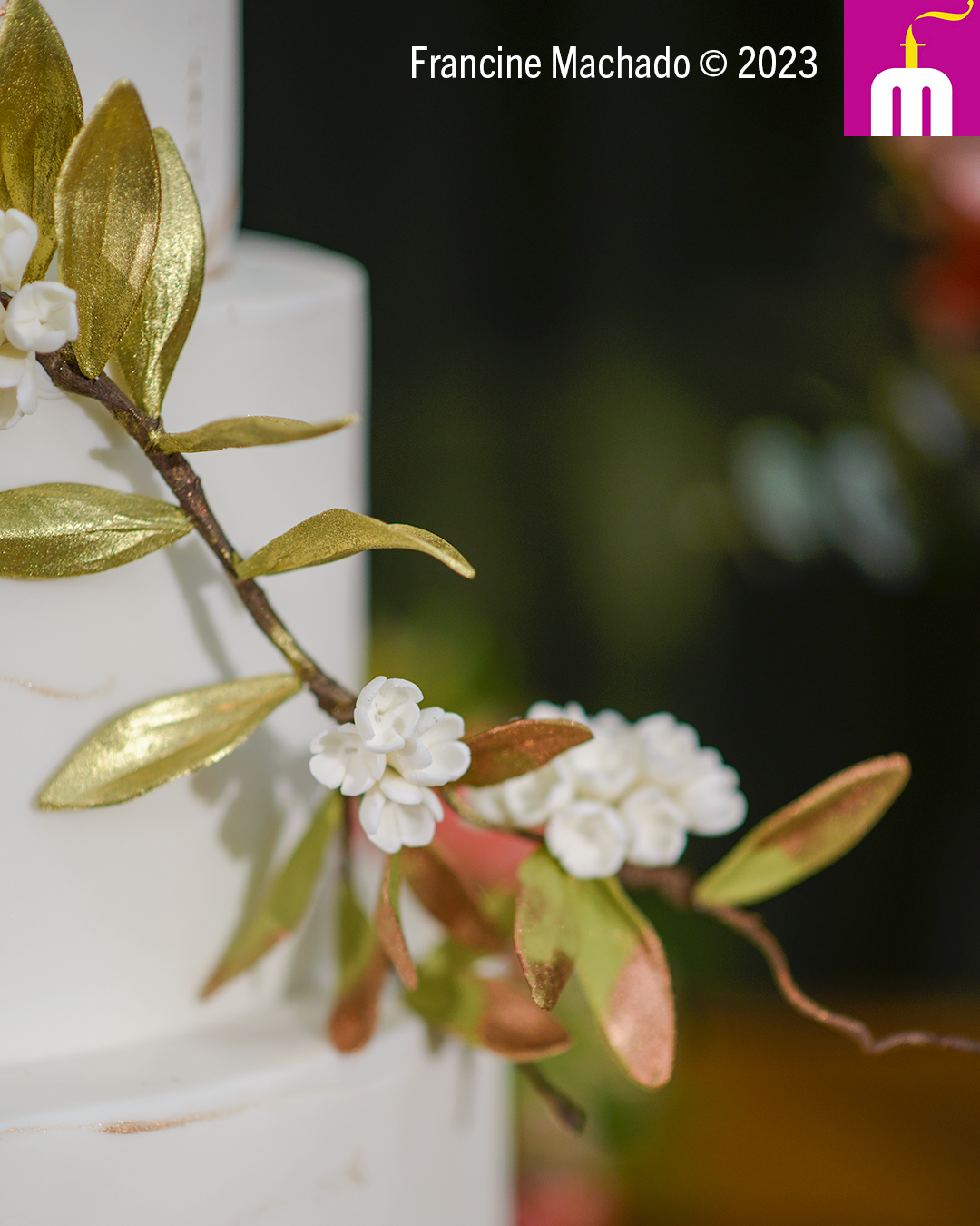 Francine Machado – Cake & Design – Bolos e Doces – Casamento no Novotel – São José dos Campos, SP
