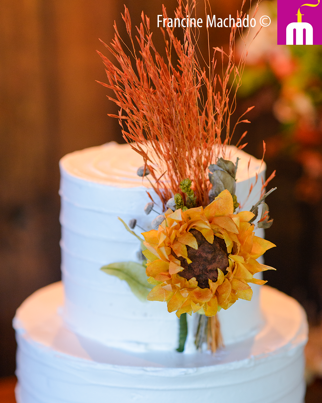 Francine Machado – Cake & Design – Bolos e Doces – Raissa e Levy