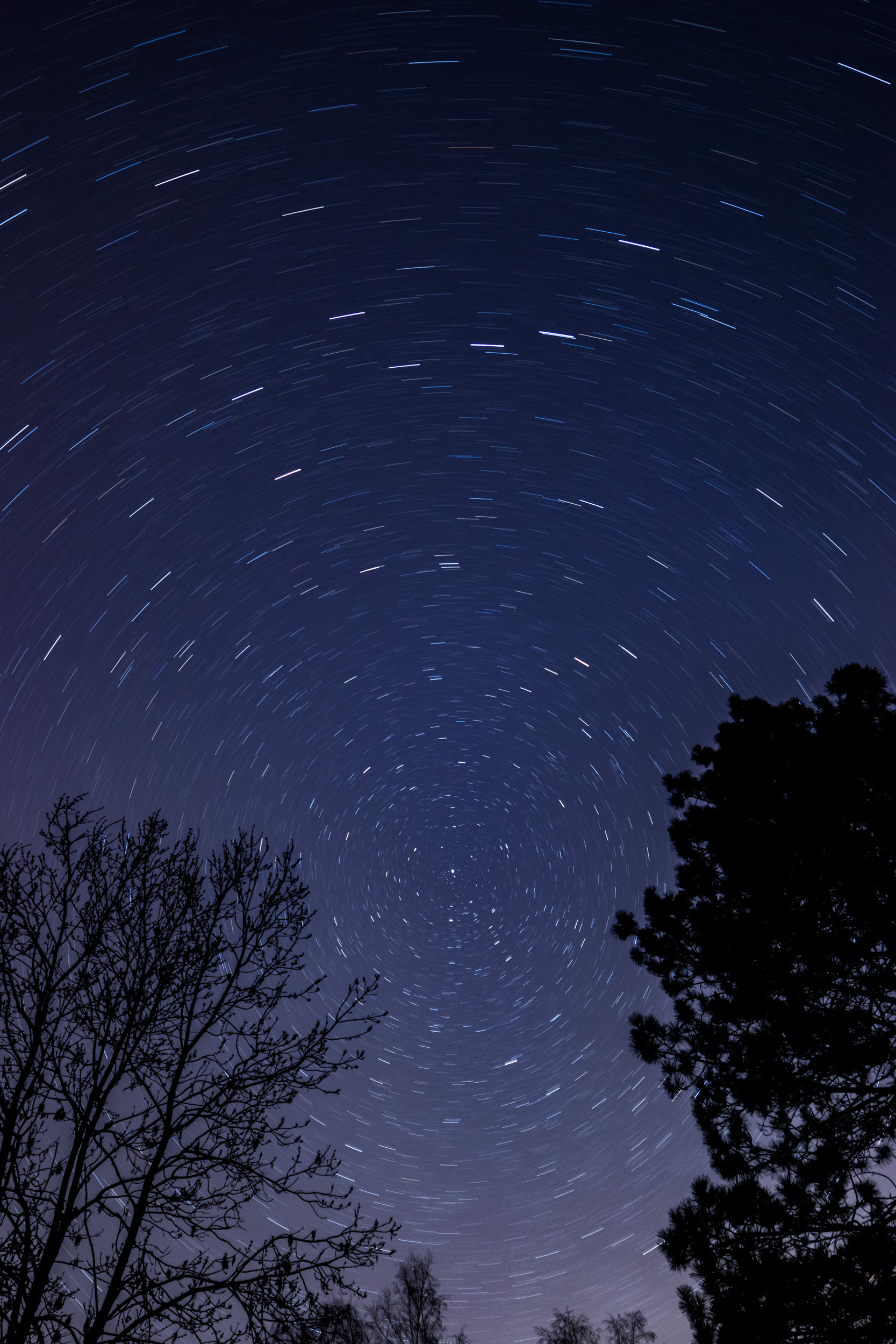 Erddrehung um Polarstern, 20 Minuten Belichtung 