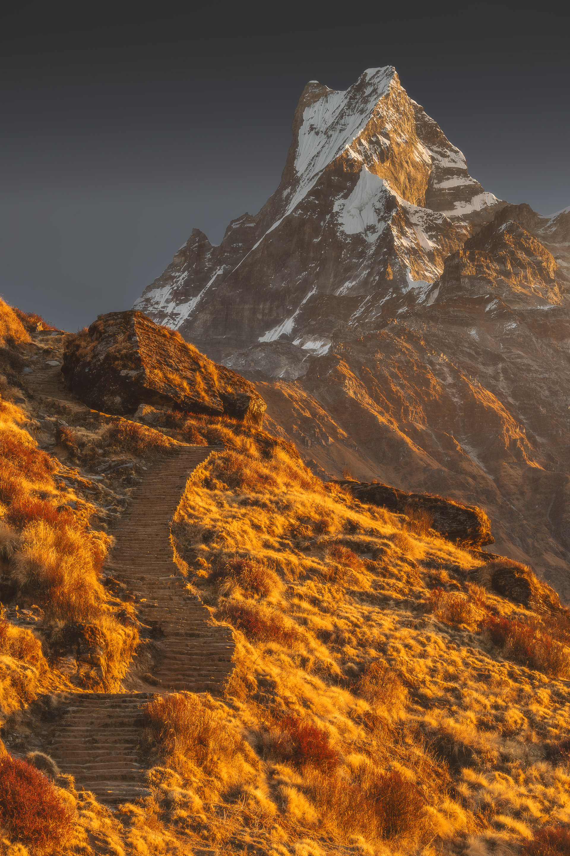 Golden Machhapuchhare