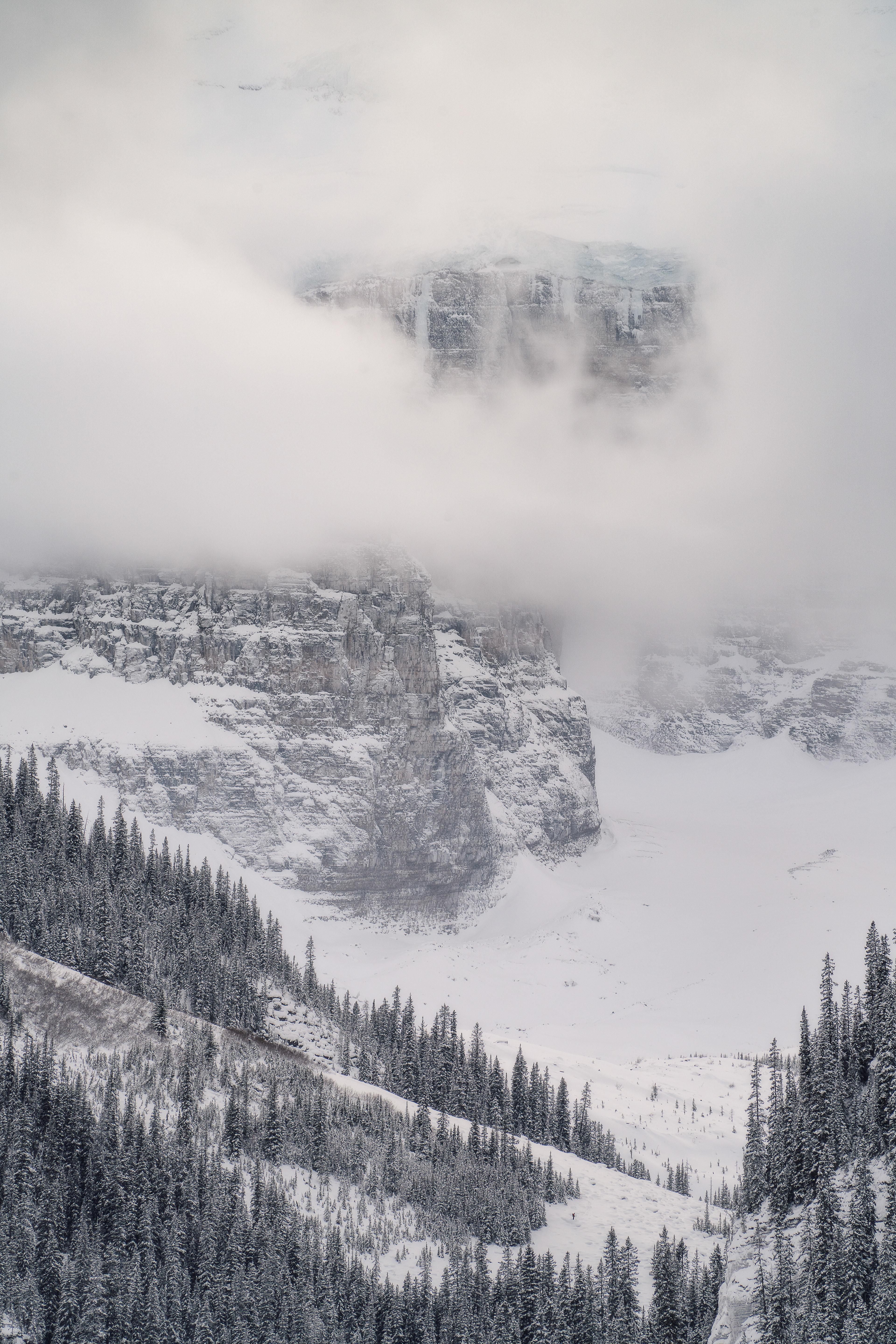 Glacial Mist