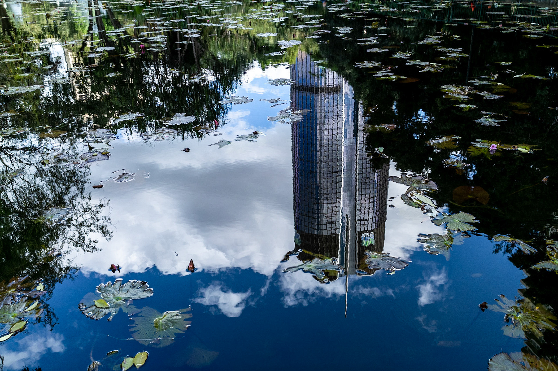 Shot with DXO ONE Camera