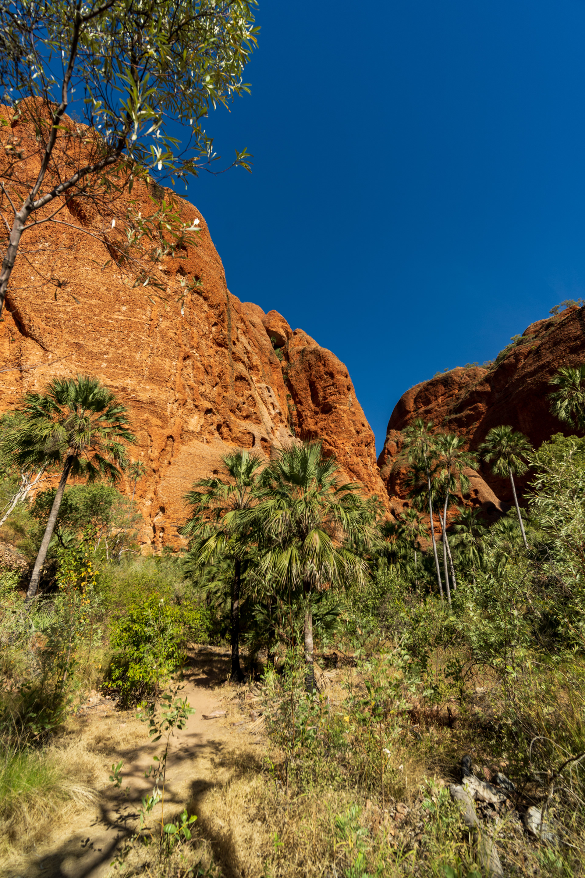 Echidna Gorge