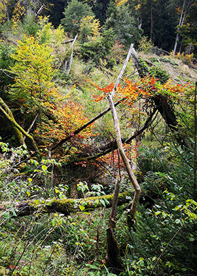Untitled, Border between Germany and Austria, Photograph, 37 x 27 cm. 2018.