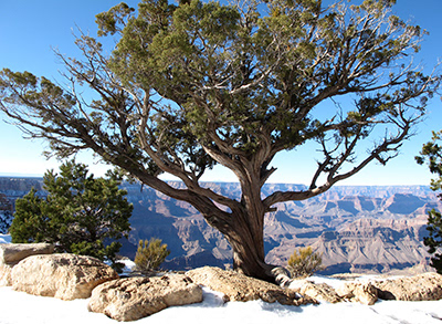 Untitled, Grand Canyon, Usa, photograph, 2009.