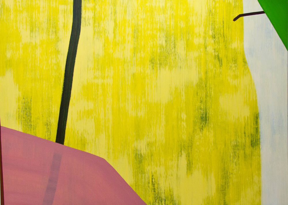 Untitled,  acrylic on canvas, 200 x 280 cm. 2016.